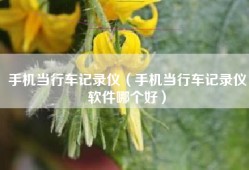 手机当行车记录仪（手机当行车记录仪软件哪个好）