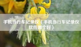 手机当行车记录仪（手机当行车记录仪软件哪个好）