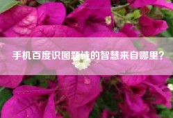 手机百度识图题诗的智慧来自哪里？