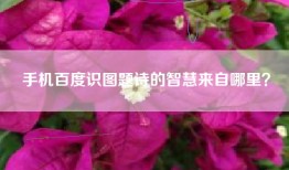 手机百度识图题诗的智慧来自哪里？
