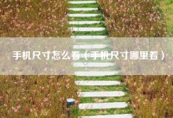 手机尺寸怎么看（手机尺寸哪里看）