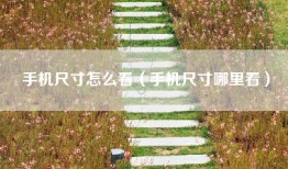 手机尺寸怎么看(手机尺寸哪里看)