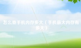 怎么查手机内存多大（手机最大内存有多大）