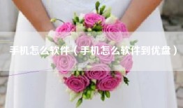 手机怎么软件（手机怎么软件到优盘）