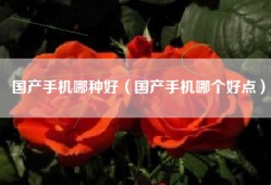 国产手机哪种好（国产手机哪个好点）