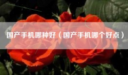 国产手机哪种好（国产手机哪个好点）