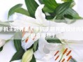 手机主题界面（手机主题界面设计内容包含哪些）