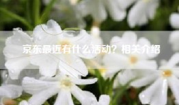 京东最近有什么活动？相关介绍