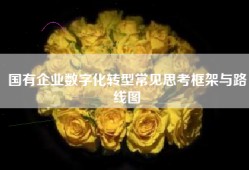 国有企业数字化转型常见思考框架与路线图