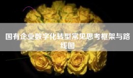 国有企业数字化转型常见思考框架与路线图