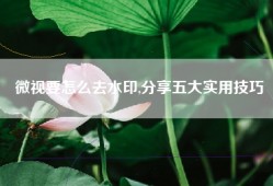 微视要怎么去水印,分享五大实用技巧