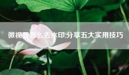 微视要怎么去水印,分享五大实用技巧
