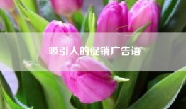 吸引人的促销广告语