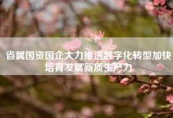 省属国资国企大力推进数字化转型加快培育发展新质生产力