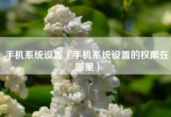 手机系统设置（手机系统设置的权限在哪里）