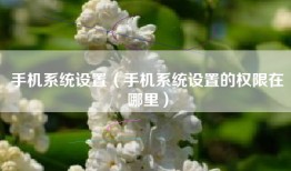 手机系统设置（手机系统设置的权限在哪里）