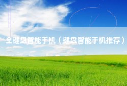 全键盘智能手机（键盘智能手机推荐）