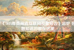 《2021年贵州省互联网发展报告》出炉 你想知道的都在这里