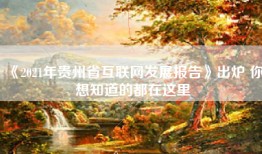 《2021年贵州省互联网发展报告》出炉 你想知道的都在这里