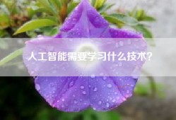 人工智能需要学习什么技术？