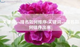 关键词seo排名如何排序(关键词seo排名如何排序出来)