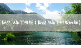 极品飞车手机版（极品飞车手机版破解）