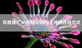 百度推广API授权文档与无代码连接方式