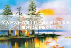 个人怎么在百度上打广告？推广加微信，排名1-3天上首页！