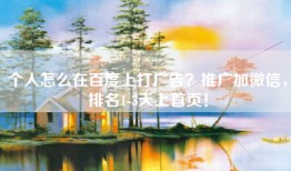 个人怎么在百度上打广告？推广加微信，排名1-3天上首页！