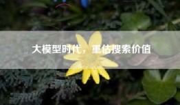 大模型时代，重估搜索价值