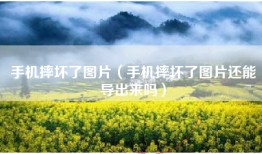 手机摔坏了图片（手机摔坏了图片还能导出来吗）