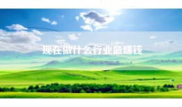 现在做什么行业最赚钱