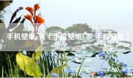 手机壁纸c罗（手机壁纸C罗 手机壁纸）