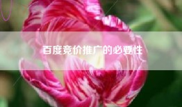 百度竞价推广的必要性