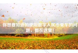 你想要知道的使用数字人民币乘车的问题，都在这里！