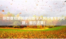 你想要知道的使用数字人民币乘车的问题，都在这里！