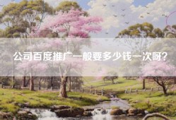 公司百度推广一般要多少钱一次呀？