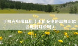 手机充电带耳机（手机充电带耳机听歌会电到耳朵吗）