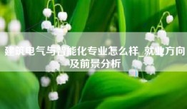 建筑电气与智能化专业怎么样_就业方向及前景分析