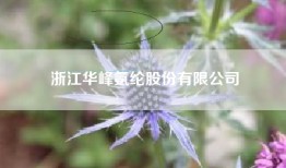 浙江华峰氨纶股份有限公司