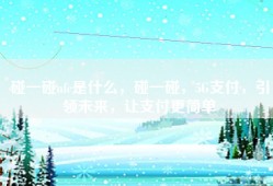 碰一碰nfc是什么，碰一碰，5G支付，引领未来，让支付更简单