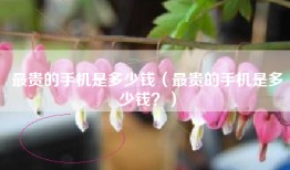 最贵的手机是多少钱（最贵的手机是多少钱？）