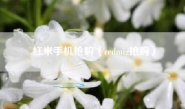 红米手机抢购（redmig抢购）