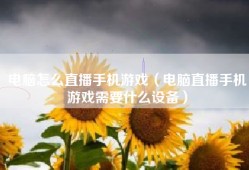 电脑怎么直播手机游戏（电脑直播手机游戏需要什么设备）