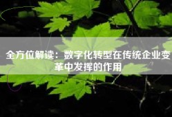 全方位解读：数字化转型在传统企业变革中发挥的作用