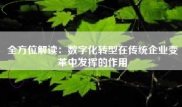 全方位解读：数字化转型在传统企业变革中发挥的作用