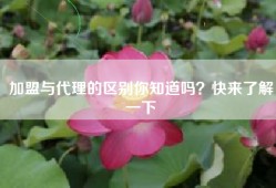 加盟与代理的区别你知道吗？快来了解一下