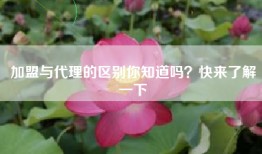 加盟与代理的区别你知道吗？快来了解一下