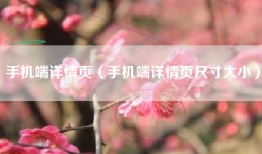 手机端详情页（手机端详情页尺寸大小）