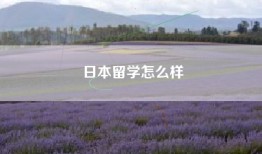 日本留学怎么样